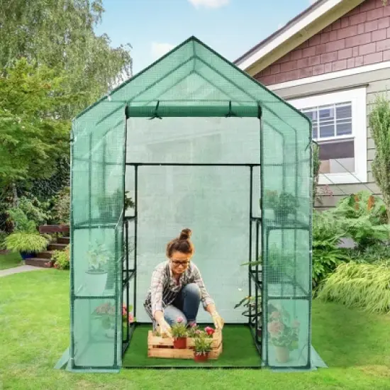 Costway Walk-in Greenhouse 56''x56''x77'' Gardening w/Observation Windows 2 Tier 8 Shelves image {1}