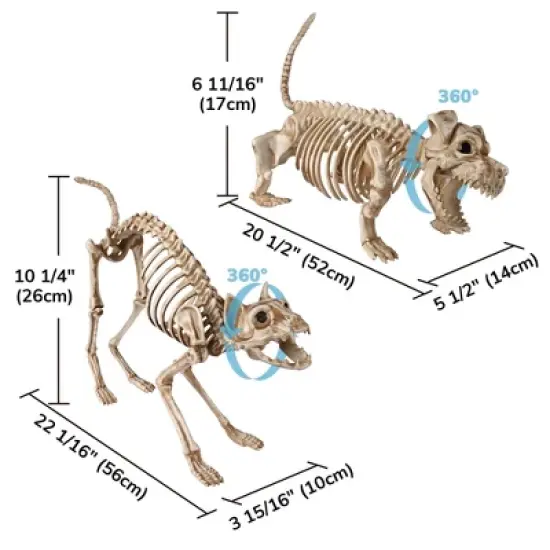 Yescom 2Pcs Poseable Dachshund Dog and 1 Pcs Cat Skeleton Life Size Pet Animal Halloween Yard Decor image {8}