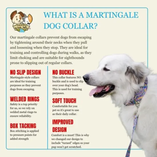 Country Brook Petz HossFit Jr Wide Martingale Dog Collar - Groovy Collection image {4}