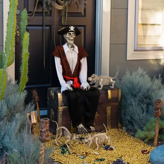 Yescom 5.4Ft Halloween Pirate Captain Skeleton Life Size Human Bone Movable Joints Outdoor Decor 2025 image {6}