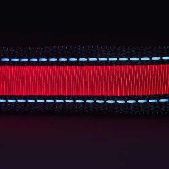 Life+Gear Rechargeable Glow Dog Collar - L image {8}