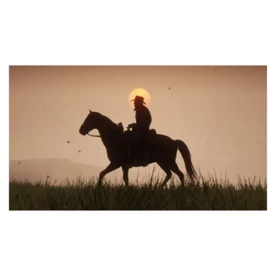 Red Dead Redemption 2 - PlayStation 4 image {14}