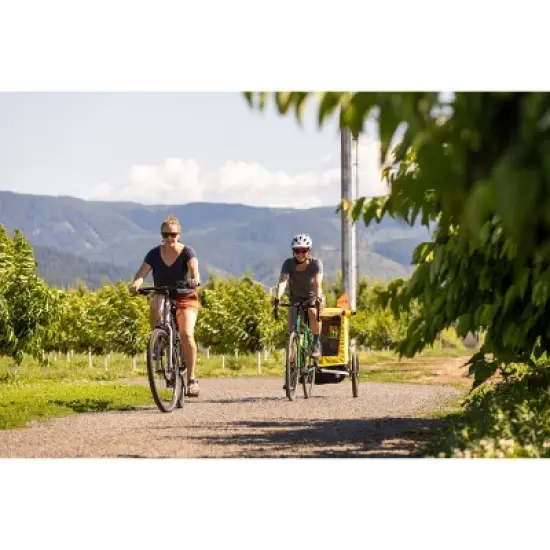 Burley Bee Double Kids' Bike Trailer image {6}