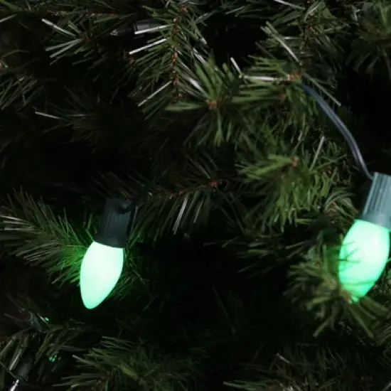 Northlight Opaque C9 Christmas String Lights - Spring Green - 24' Green Wire - 25ct image {2}