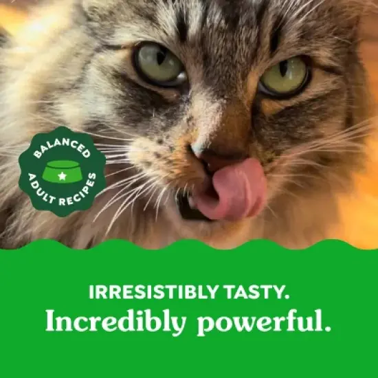 Greenies Dental Cat Treats Oven-Roasted Chicken image {8}