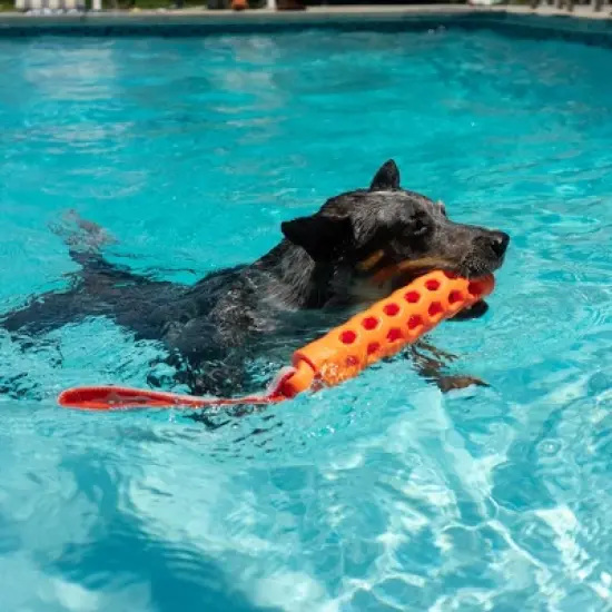 N-Gage 2" Active Bumper Dog Stick Toy image {3}