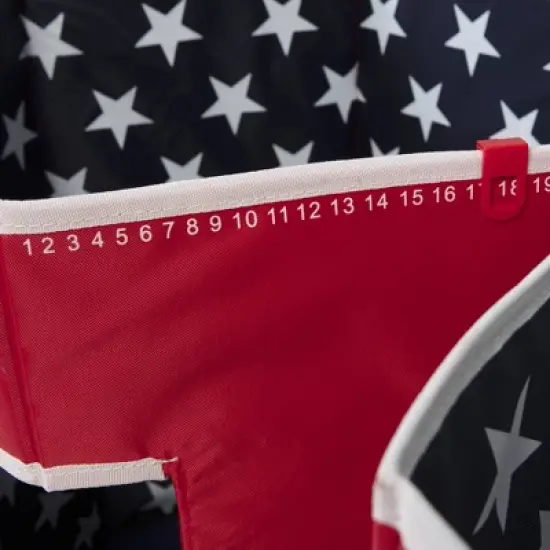 Triumph Sports Patriotic Disc Flyerz image {9}