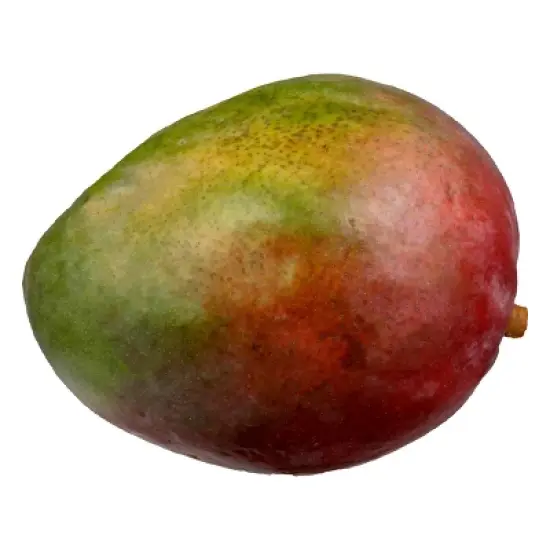 Fresh Mango Fruit - each image {4}