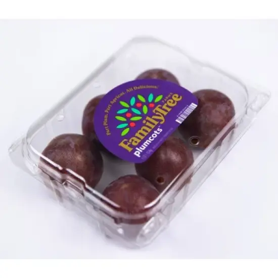 Fresh Plumcots - 1lb image {4}