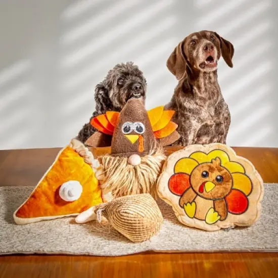 Midlee Thanksgiving Meal Dog Toy Set - Pumpkin Pie & Turkey Leg image {4}