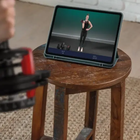 Bowflex SelectTech 552 Dumbbell Set - Black image {5}