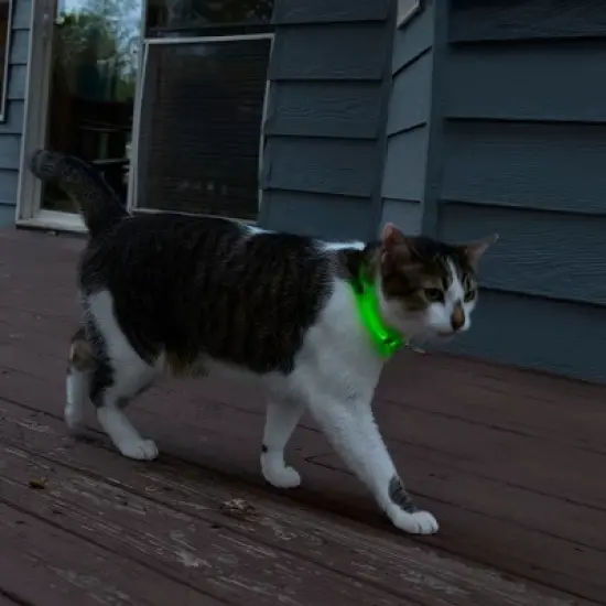 Nite Ize NiteMeow Rechargeable LED Safety Necklace - Cat Accessories - LED Glow Necklace for Dogs - Disc-O Select image {6}