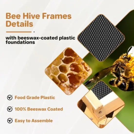 10 Frame Bee Hive Box, Wax Coated Honey Super Bee Hive Kit with Frames and Foundations Sheets for Beginners Beekeepers, Deep Box image {3}