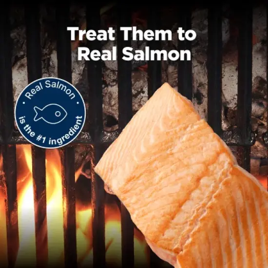 Blue Buffalo Nudges Grillers Salmon Flavor Dog Treats - 16oz image {2}