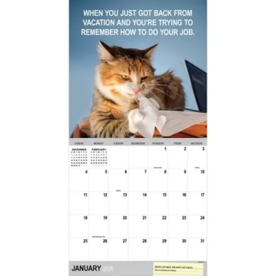 TF Publishing 13.5"x14.5" 2026 Corporate Cats Wall Calendar image {5}