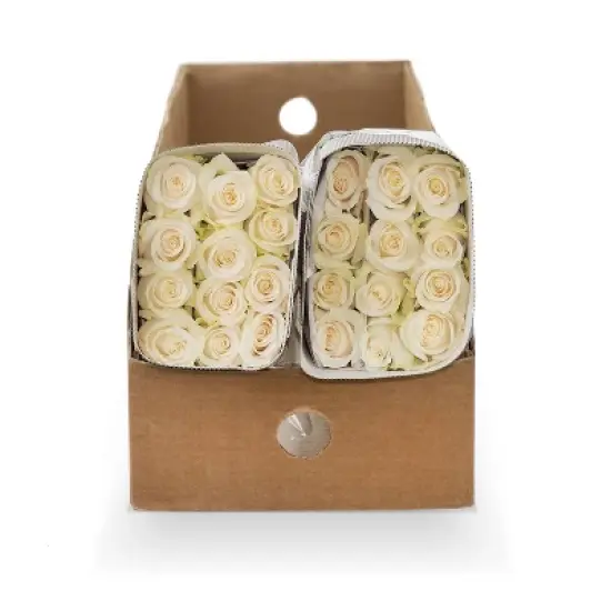 Fresh Cut 50-stem White Roses image {2}