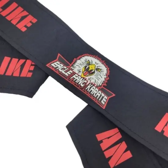 Ripple Junction x Cobra Kai Eagle Fang Karate Dojo Headband image {1}