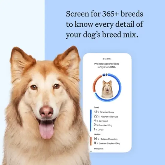 Wisdom Panel Breed Discovery Dog DNA Kit: Most Accurate Dog Breed Identification, Test for 365+ Breeds, MDR1 Health Test, Ancestry, Relatives image {1}