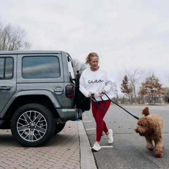 HOOZA Rope Dog Leash - 1" x 5', Dog Outdoor Accessory - Magnetic Quick Clip, Heavy Duty image {4}