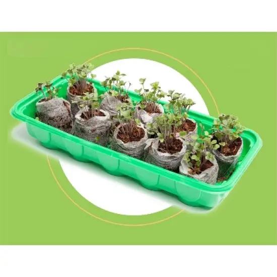 Window Garden Microgreen Organic Wheatgrass 3 Pack Refill image {1}