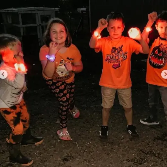 Starlux Games Wizards & Werewolves - 23pc image {7}