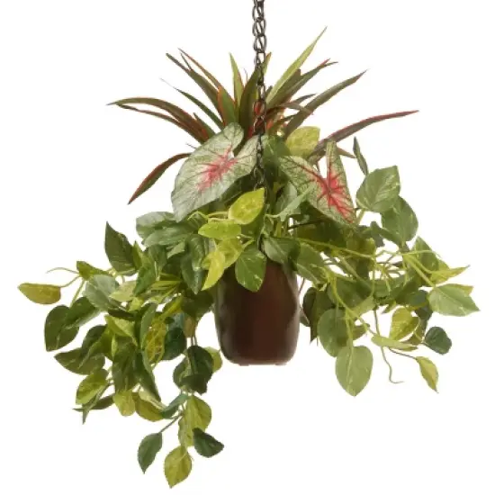 National Tree Company 9" Assorted Greens Hanging Basket image {3}