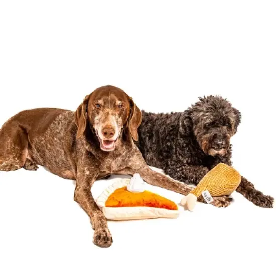 Midlee Thanksgiving Meal Dog Toy Set - Pumpkin Pie & Turkey Leg image {5}