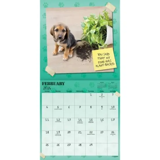Trends International Inc. 2023-24 Wall Calendar 12"x12" Guilty Dog image {2}