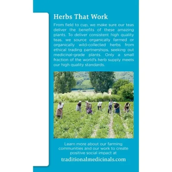 Traditional Medicinals Organic EveryDay Detox Lemon Herbal Tea - 16ct image {2}