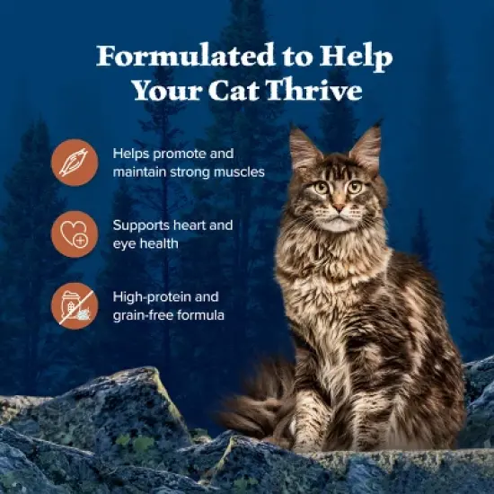 Blue Buffalo Wilderness Wild Delights High Protein Grain Free Natural Adult Flaked Wet Cat Food with Chicken & Turkey - 5.5oz image {3}