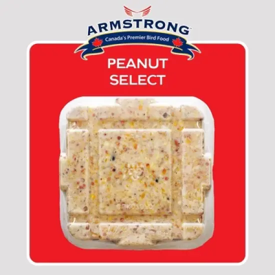 Armstrong Wild Bird Food Peanut Select Suet Cake, 33.9oz (Pack of 3) image {1}