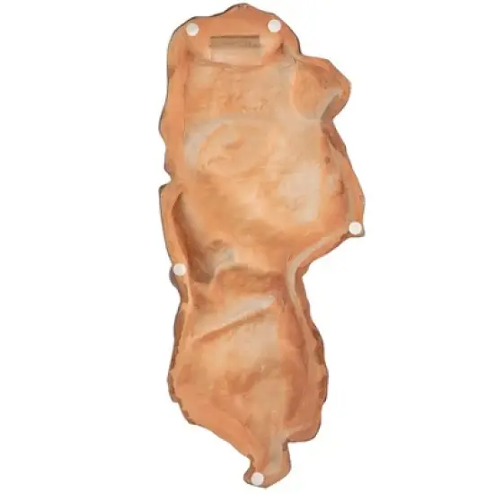 Design Toscano A Classical Fragment Wall Sculpture: Large image {3}