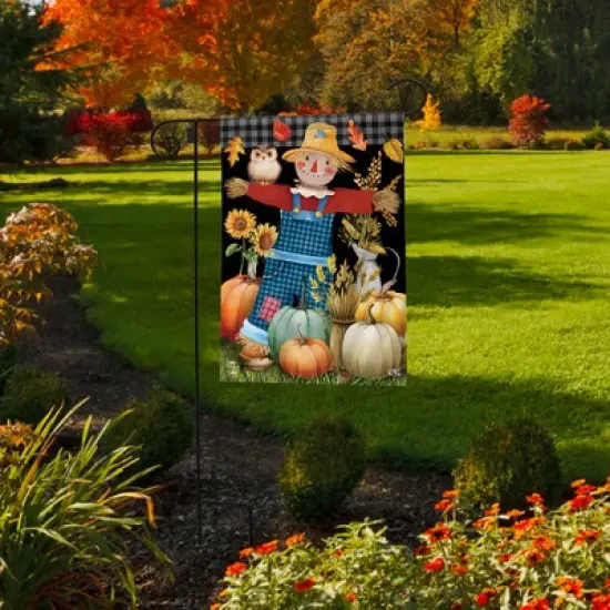 Briarwood Lane Fall Garden Flag 12x18 For Outdoor Friendly Scarecrow For Fall Garden Flag Flags For Outside image {3}