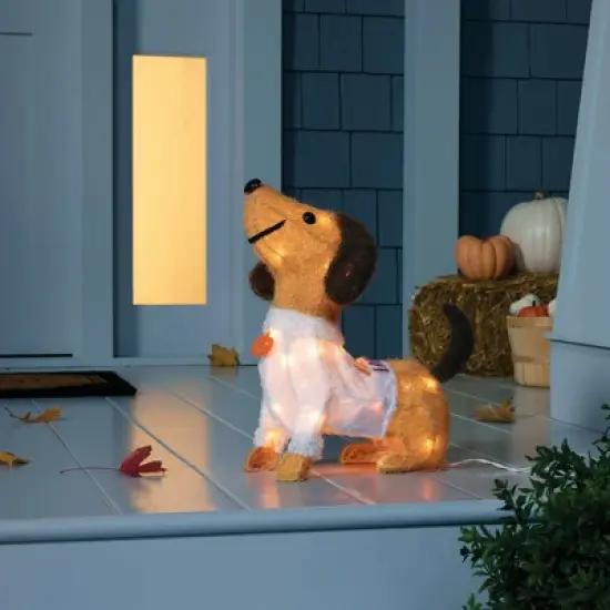 15.5" Dachshund Character 'Hello Fall' Halloween Novelty Sculpture Light - Hyde & EEK! Boutique&trade; image {1}