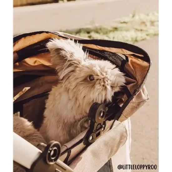 Petique Newport 3-in-1 Travel System Comfortable & Spacious Pet Animal Stroller image {8}