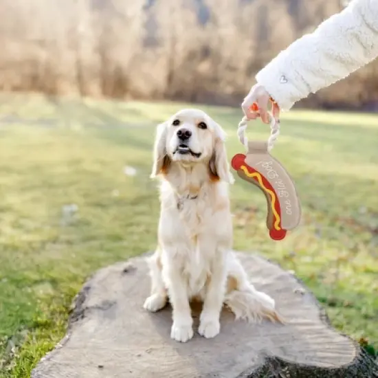 Pavilion Gift Company - Hot Dog - 12.75" Canvas Dog Toy on Rope - Pet Toy image {1}