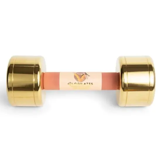 Blogilates Iron Dumbbell - Gold 15lbs image {1}
