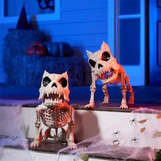 Joyfy 2 PCS 16" Halloween Decoration Dog Puppy Skeleton Full Body Posable for Spooky Scene Decor Halloween Party Favors Haunted House Graveyard Props image {7}
