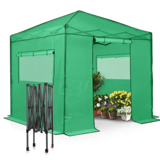 EAGLE PEAK 8'x8' Instant Pop-up Greenhouse, Roll-Up Zipper Doors and Side Windows image {7}