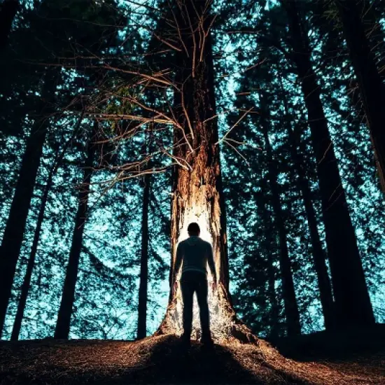 POWERCAP Adult 4 LED Compression Fleece Cap - Black image {5}