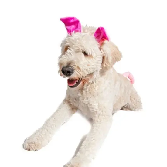 Midlee Dog Pig Halloween Headband Costume with Tail- Large image {2}