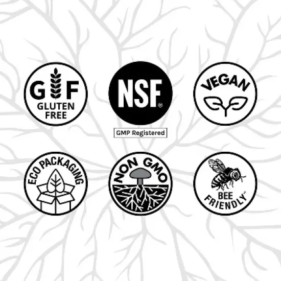 Host Defense, CordyChi Capsules, Mushroom Mycelium Supplement with Cordyceps and Reishi, Unflavored, 30 Ct. image {7}