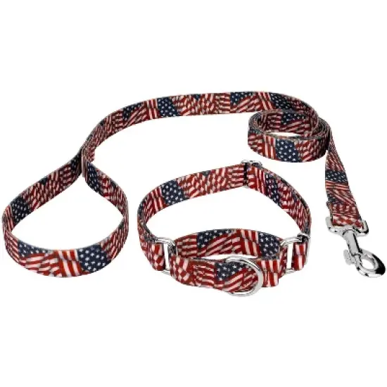 Country Brook Petz Patriotic Tribute Martingale Dog Collar and Leash image {7}