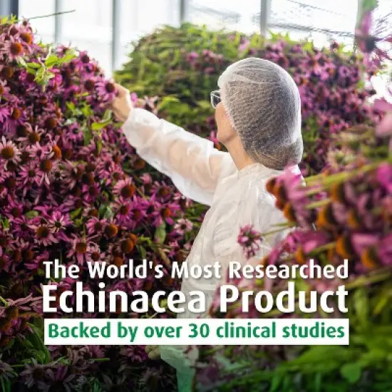 A. Vogel Echinaforce Organic Echinacea Liquid Extract &ndash; Fresh Whole Plant Herbal Supplement &ndash; Natural Immune Support Drops &ndash; Daily Wellness &ndash; 1.7 oz image {8}