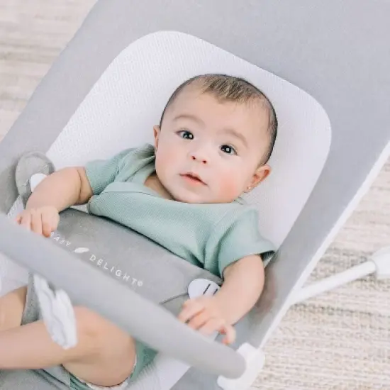 Baby Delight Highland Portable Baby Bouncer image {2}