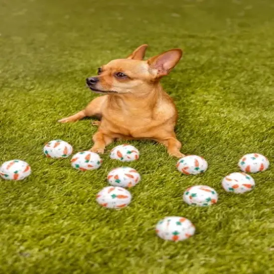 Midlee Easter Carrot Dog Tennis Balls image {1}