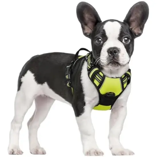 rabbitgoo Dog Harness image {4}
