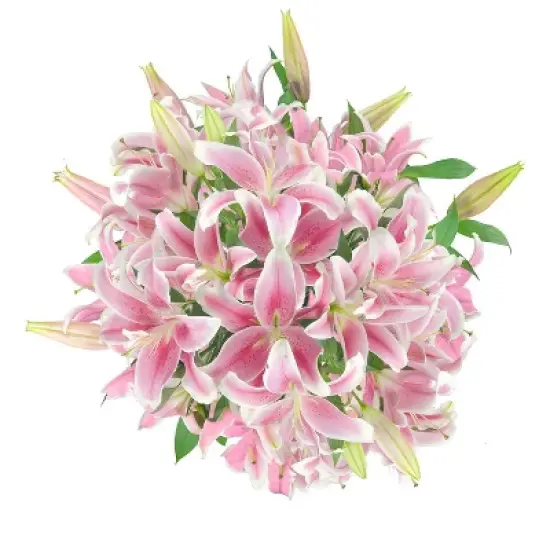 Fresh Cut Oriental Lily Flowers - 30 Stems image {8}