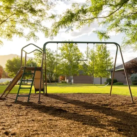 Lifetime Playset Climb and Slide Swing Set - Earthtone image {8}