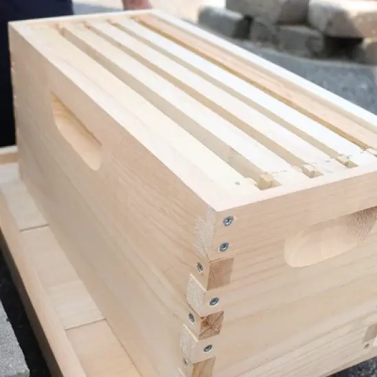 Lehman's Beekeeping Deep Nuc Box, Assembled Super or Brood Box with Plastic Foundation Frames for 5 Frame Honeybee Hives, Amish Made image {1}